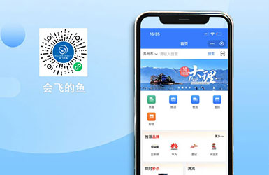 會(huì)飛的魚(yú)